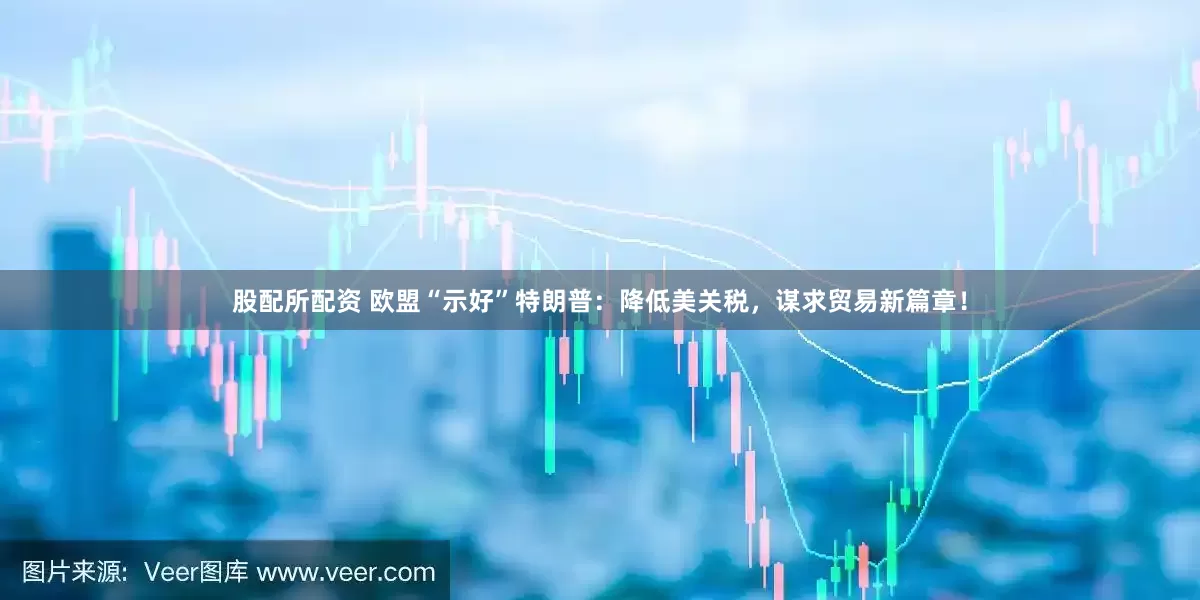 股配所配资 欧盟“示好”特朗普：降低美关税，谋求贸易新篇章！